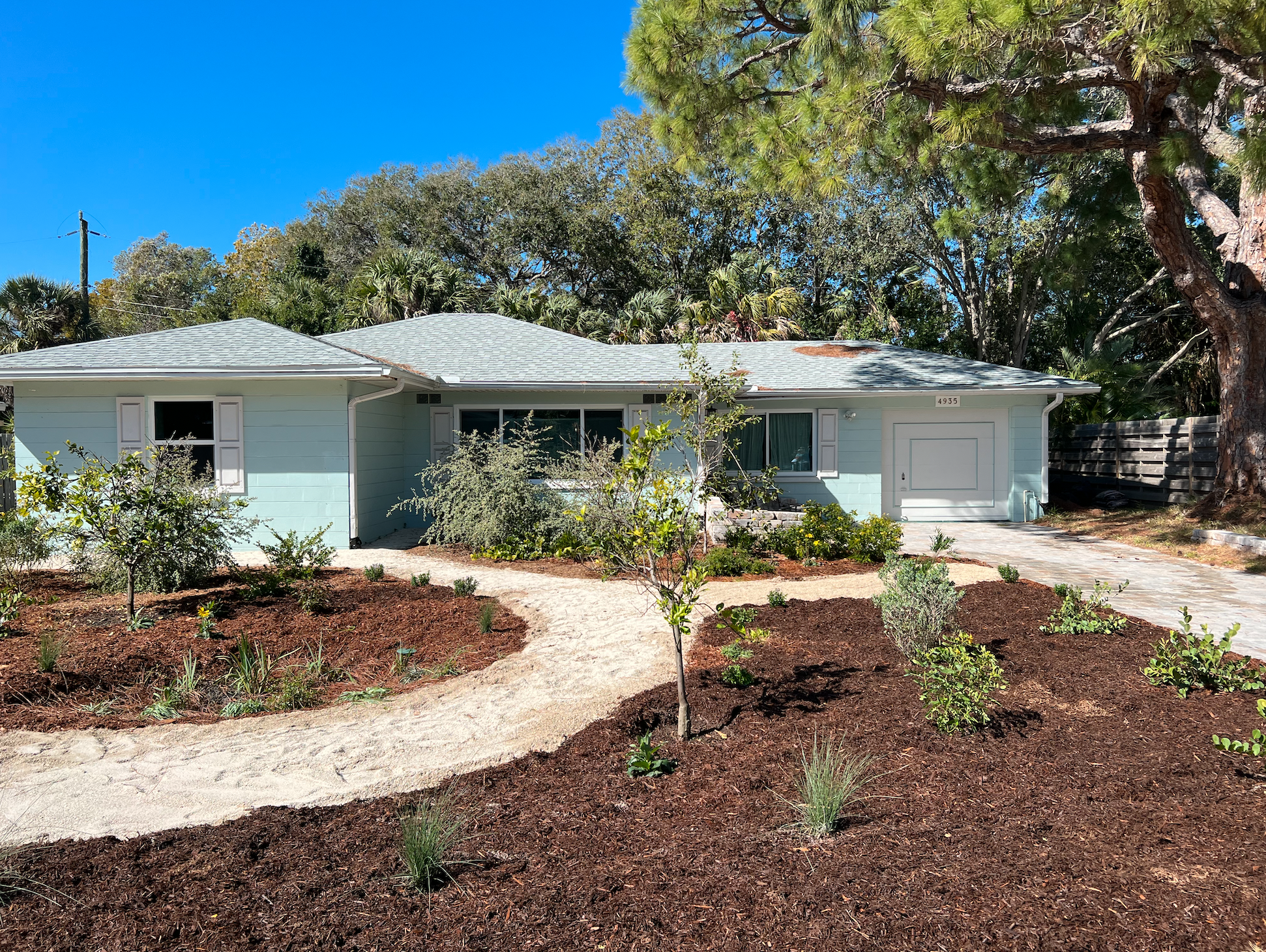 Drought tolerant and low maintenance native plants in place of dry patchy turf. This garden provides crucial habitat for butterflies, bees and birds.