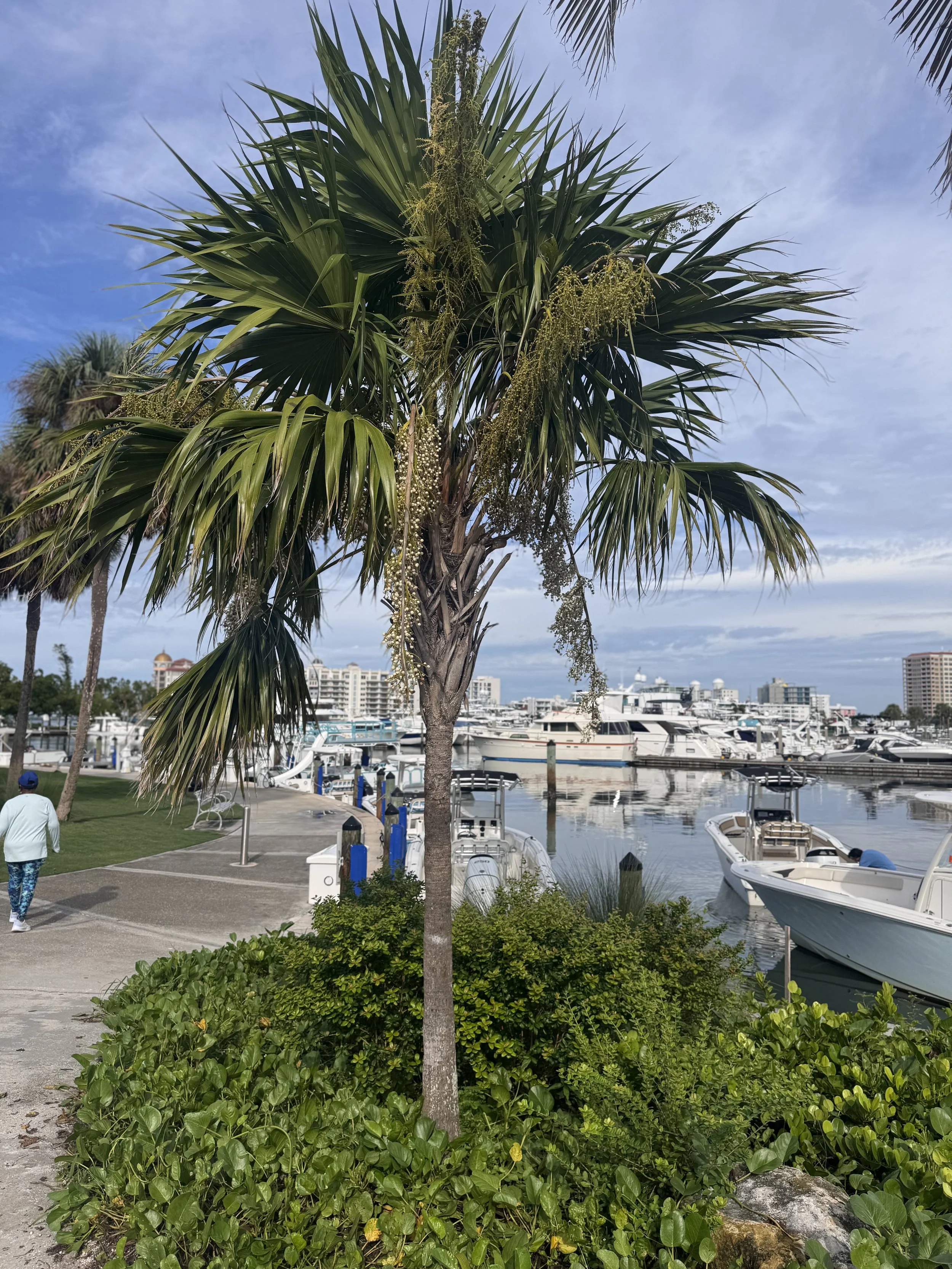 IMG_4491.jpeg