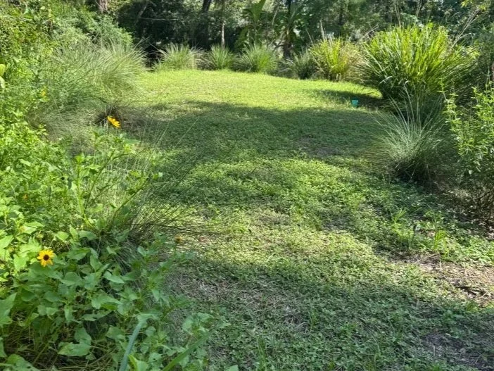native plants over a septic field