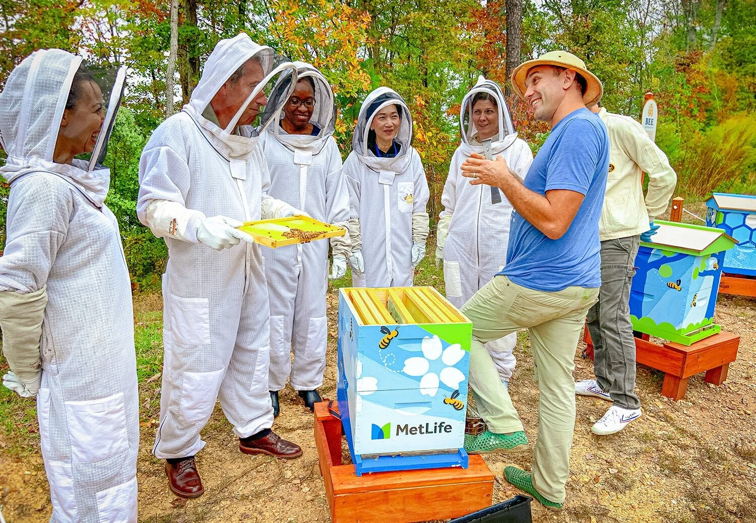 Corporate Hive Program — Bee Downtown