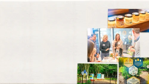 Our Story — Bee Downtown