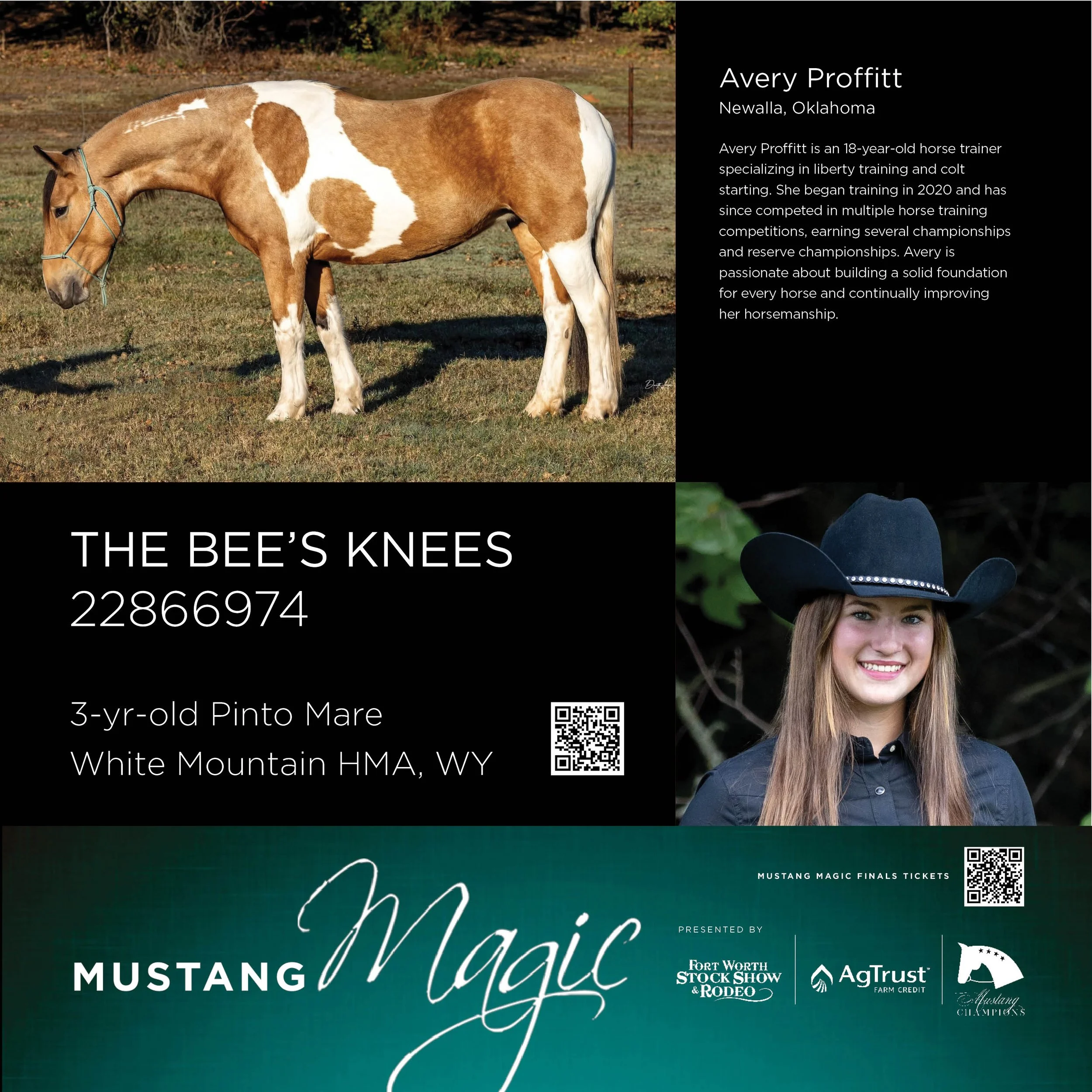 Magic 2026_Stall Cards_Avery 11.06.255.jpg