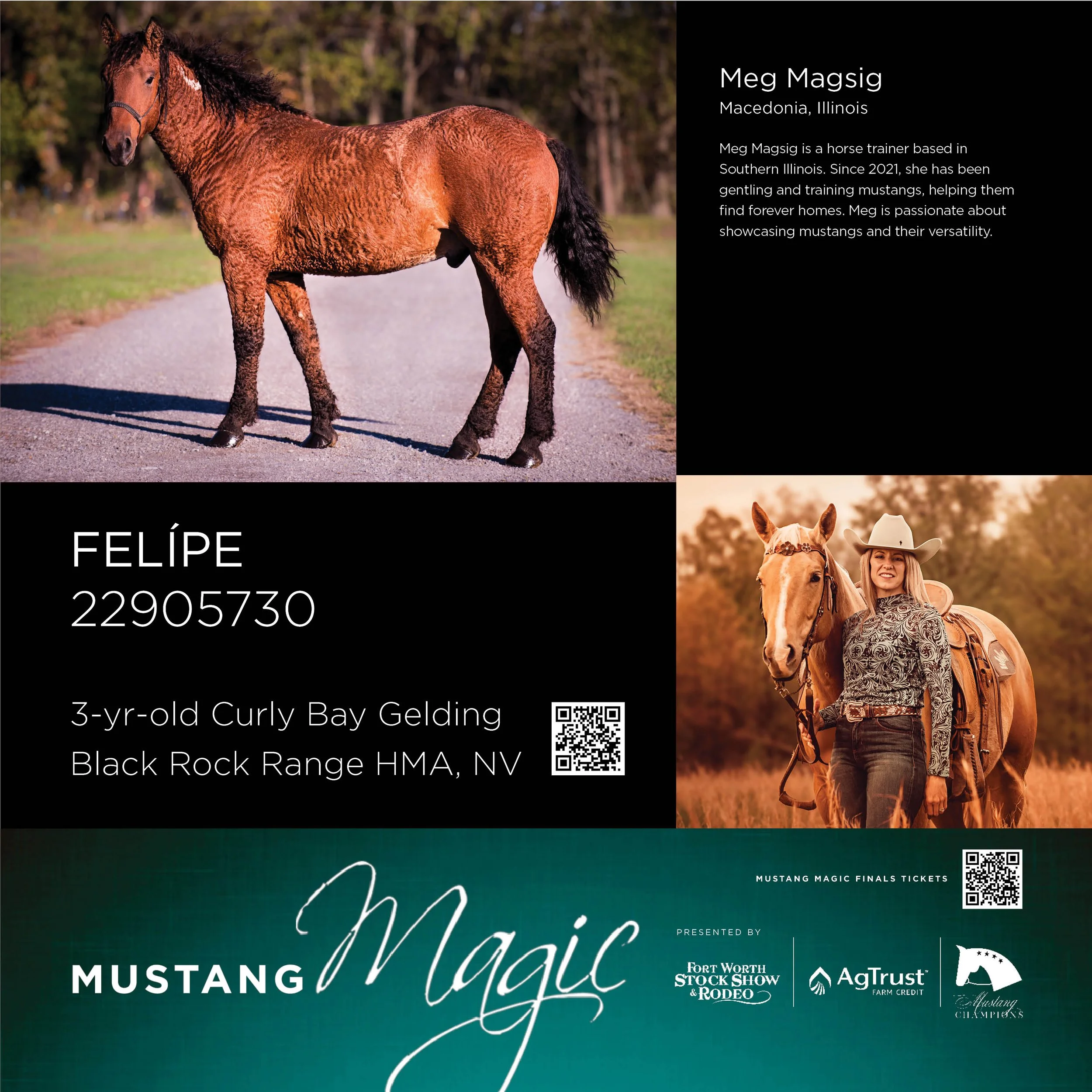 Magic 2026_Stall Cards_Meg M 11.13.253.jpg