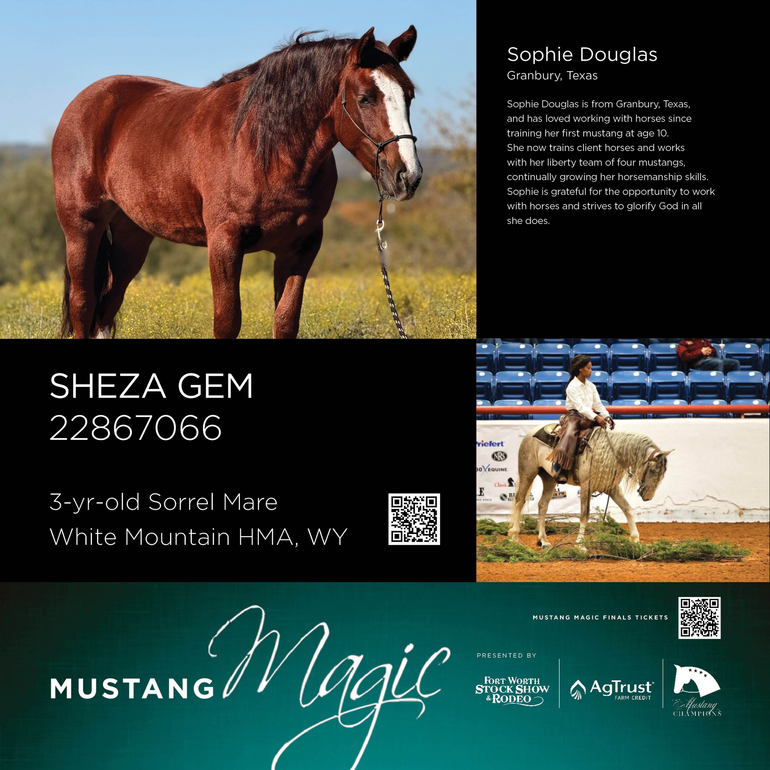 Magic 2026_Stall Cards_Sophie D 11.25.25.jpg