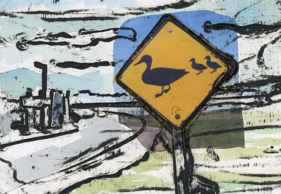 Duck Crossing.jpg