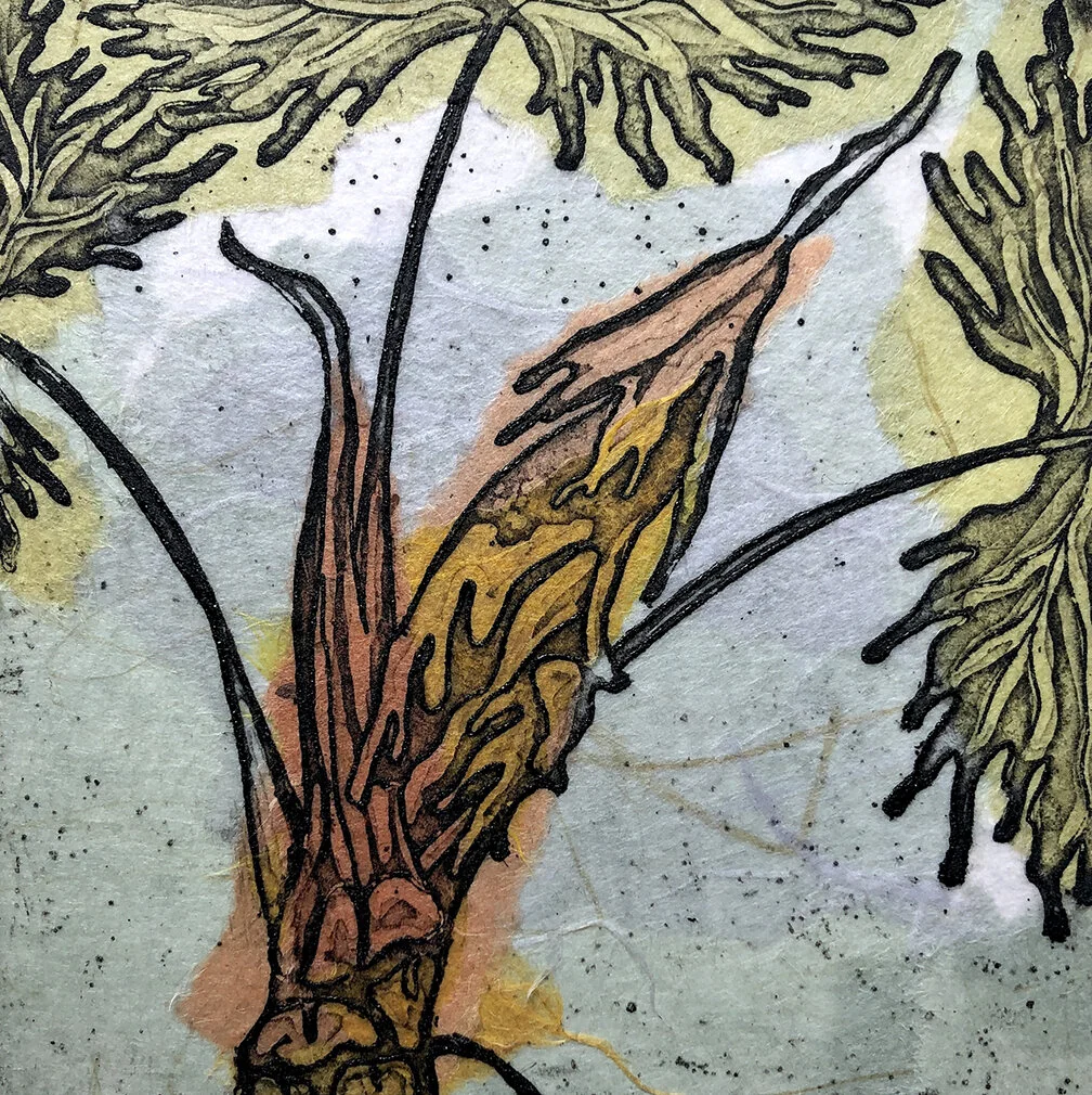 Distinctive PhiodendronWEB.jpg