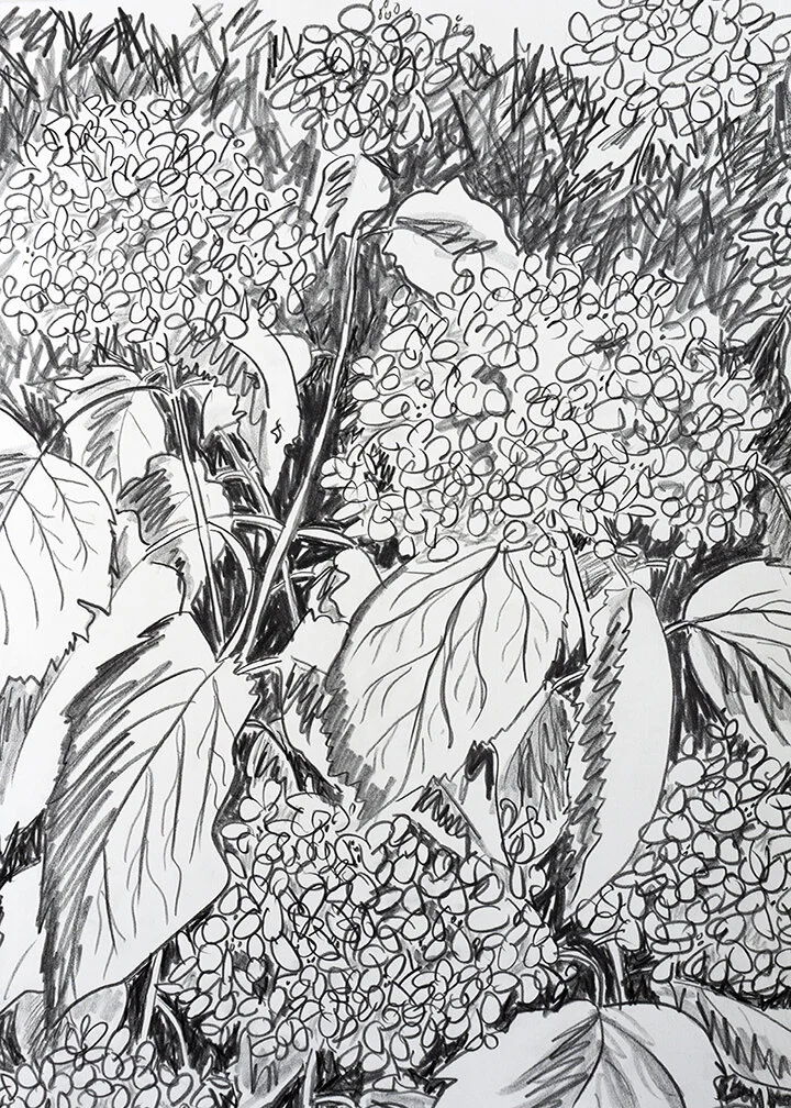 4_Fading in and out of Gloryweb.jpg