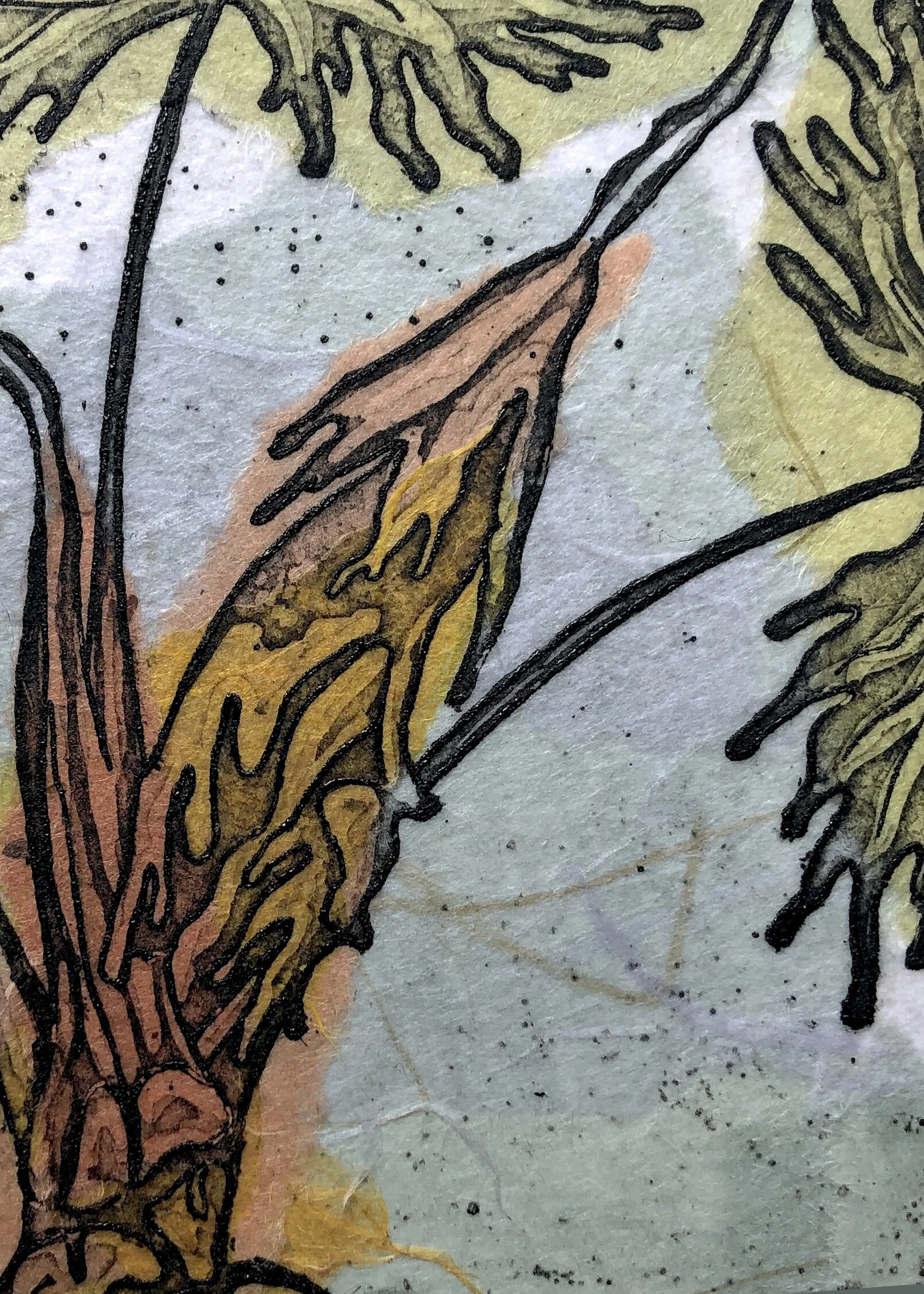 Distinctive Phiodendron_5x7_print.jpg