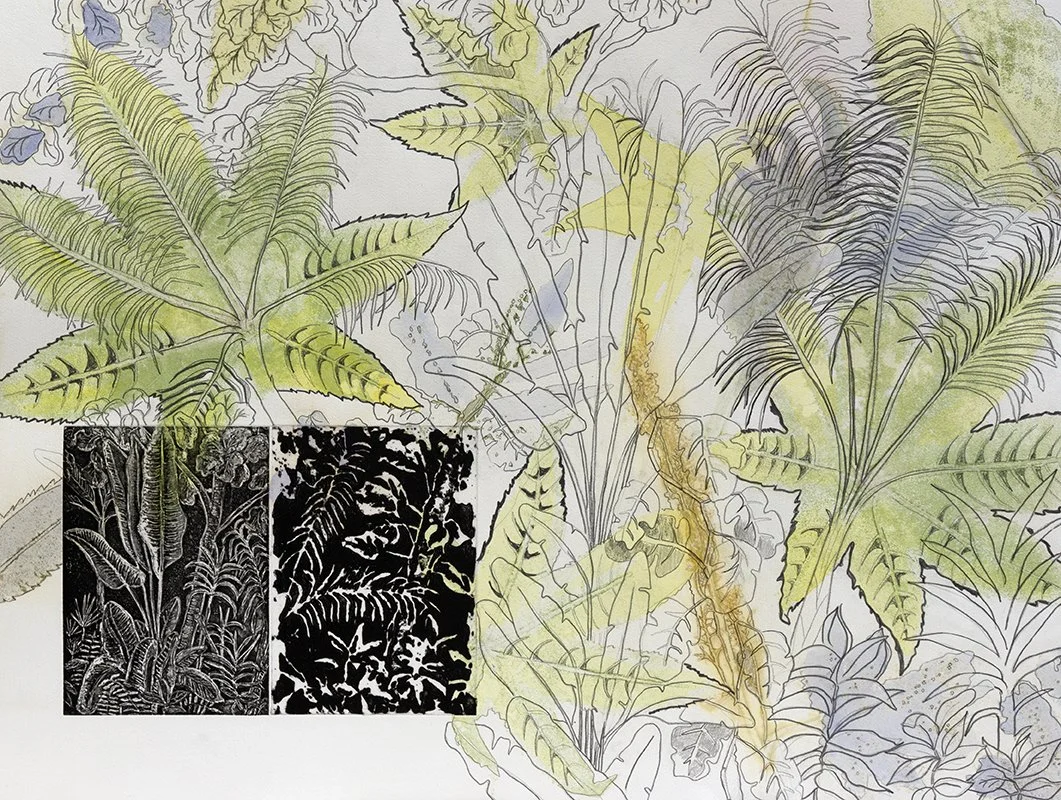 DrawntodrawtheLeafyCanopy_8_10_web_recent.jpg
