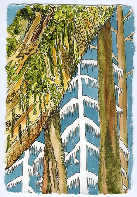 KC_ForestHappinesst10_web.jpg