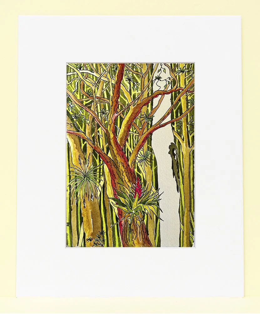 tree5x7matweb.jpg