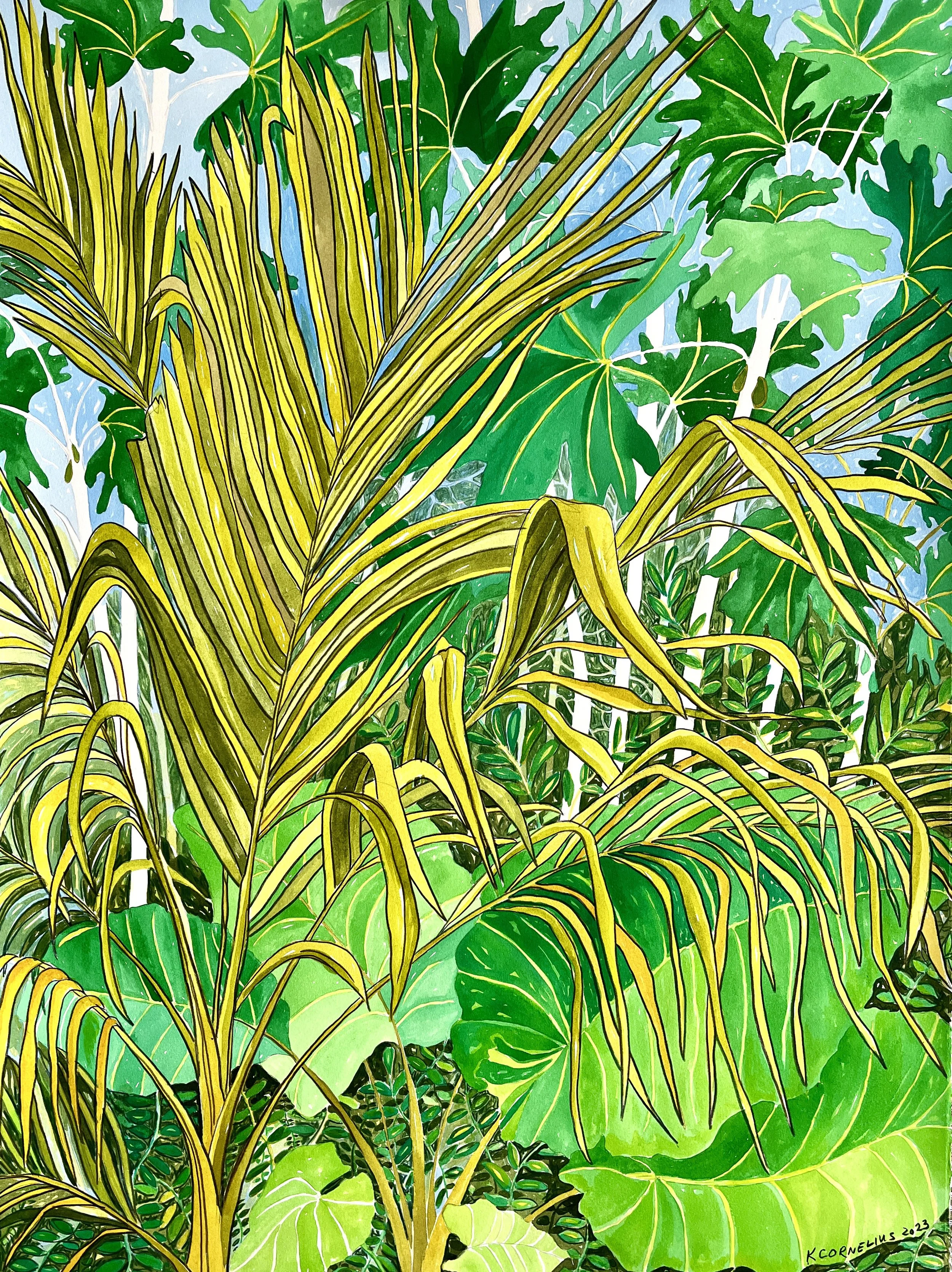 TropicalSerenade_j8x10.jpg