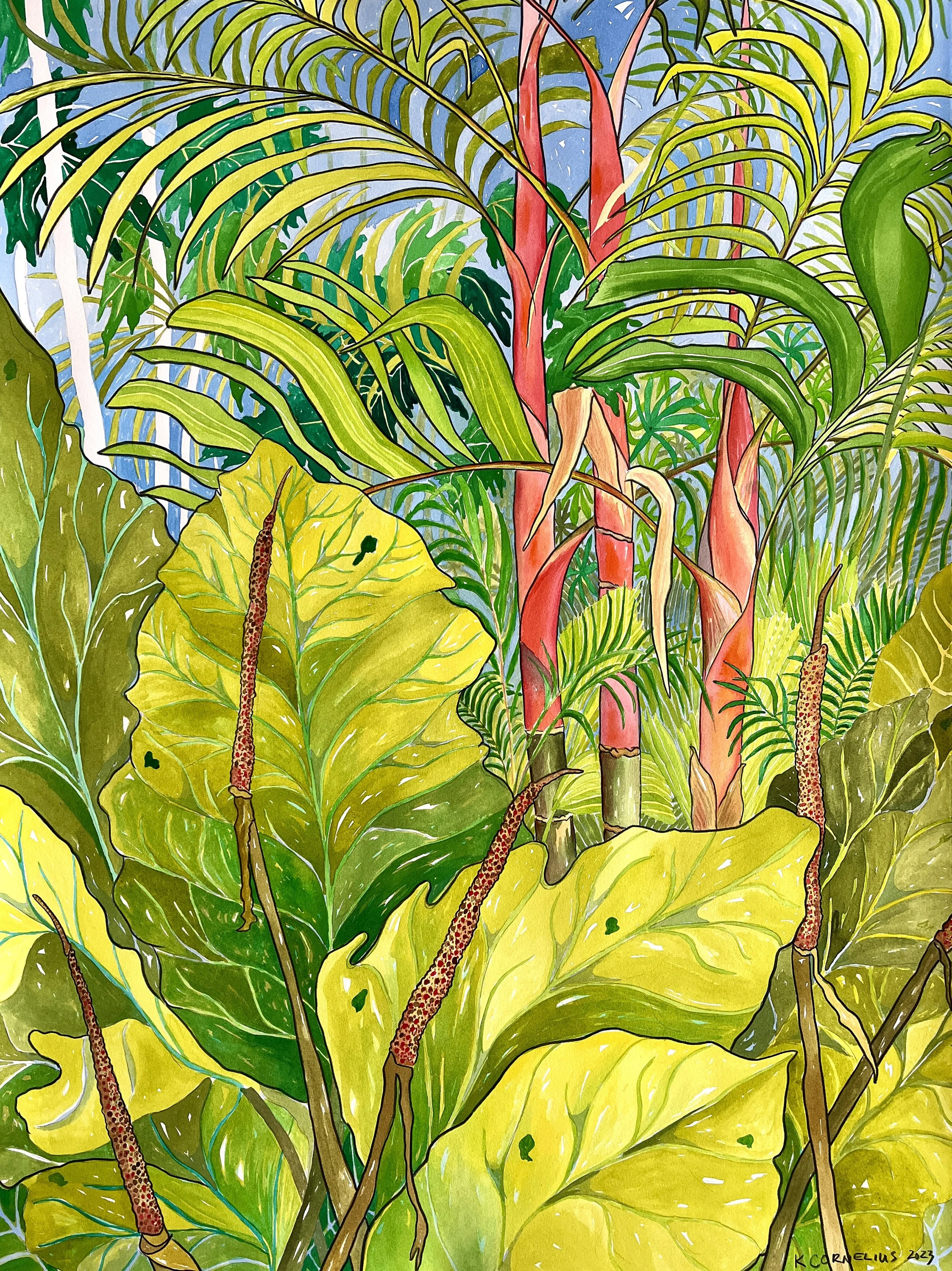 JungleDreamscape8x10.jpg