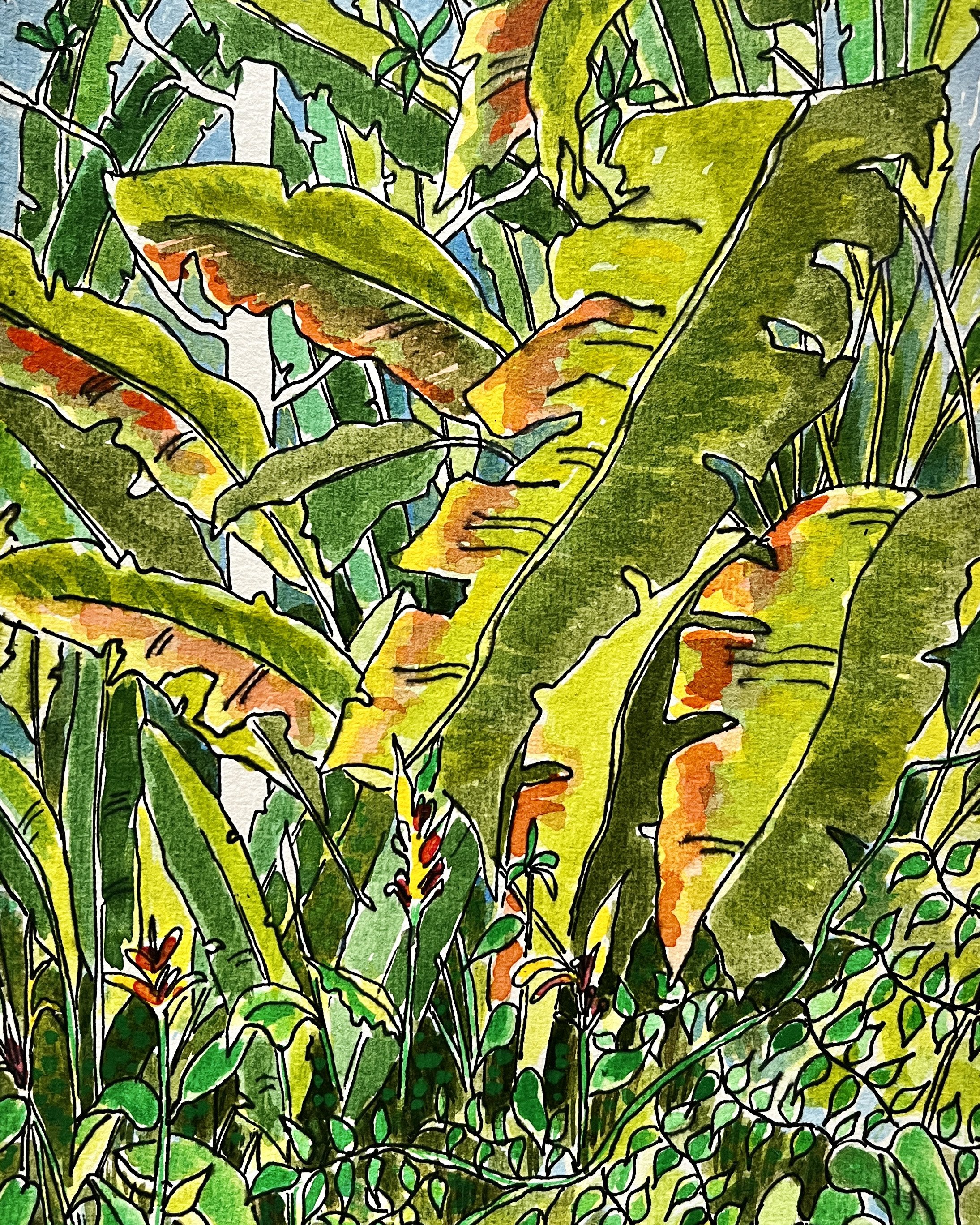 SunlitBloodBananas_8x10_L.jpg