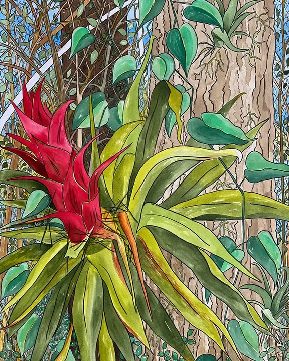 Enchanted Bromeliad._8x10_jWEB.jpg