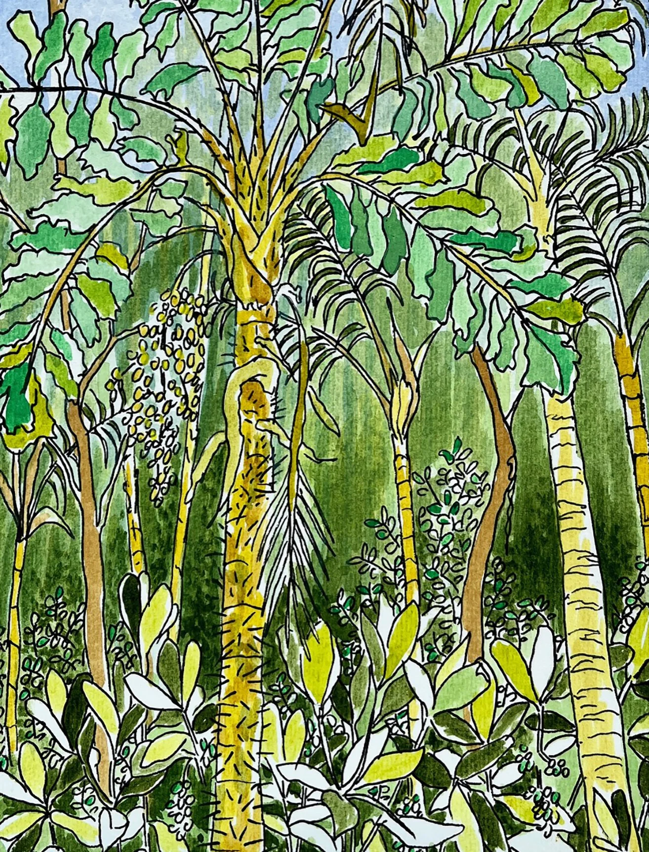 Secretsofthe Forest_CARDS.jpg