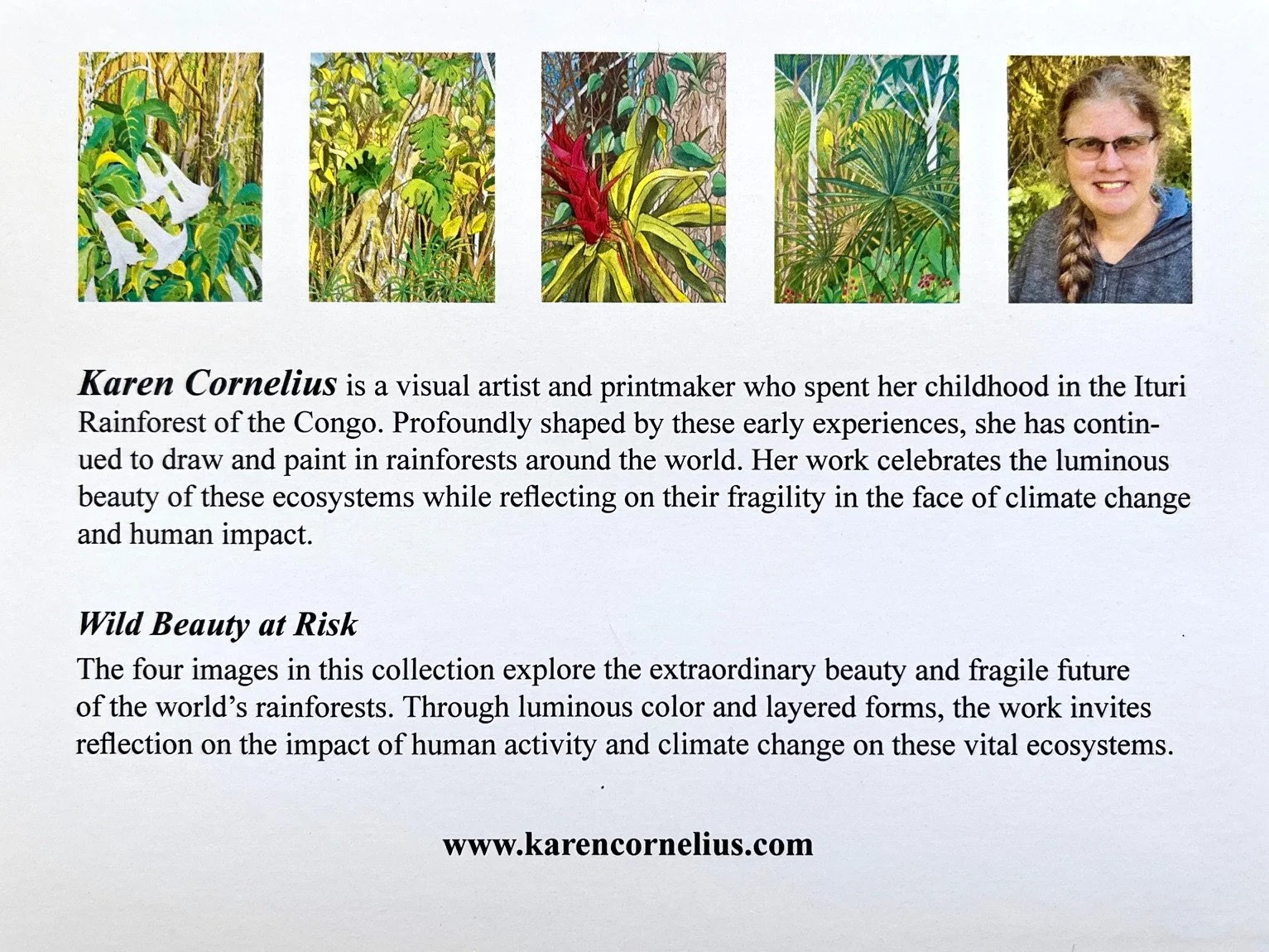 Box with 4 cards1.jpeg