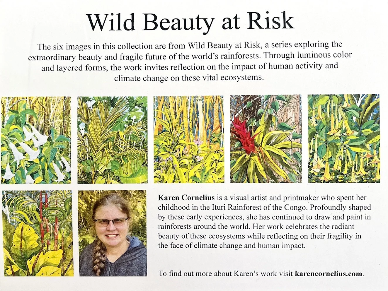 Card for six Cards0.jpeg