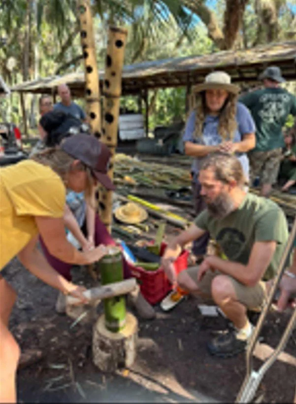 Bamboo.jpg