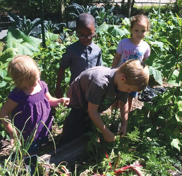 wesbite image kids in garden.jpg