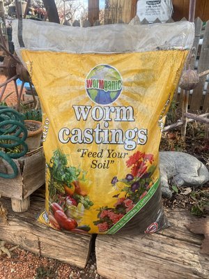 worm.jpg