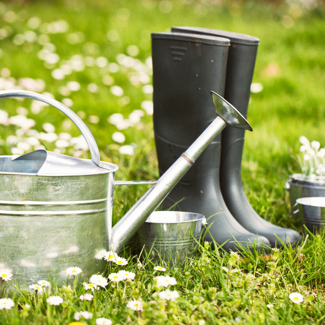 Untitled design (19).png