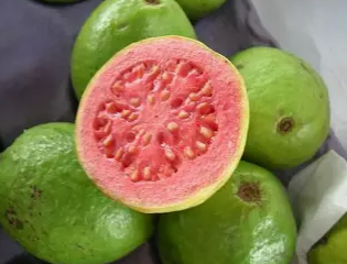 guava.png