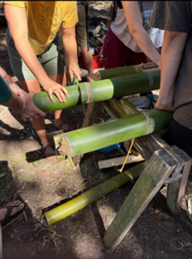 Bamboo4.jpg