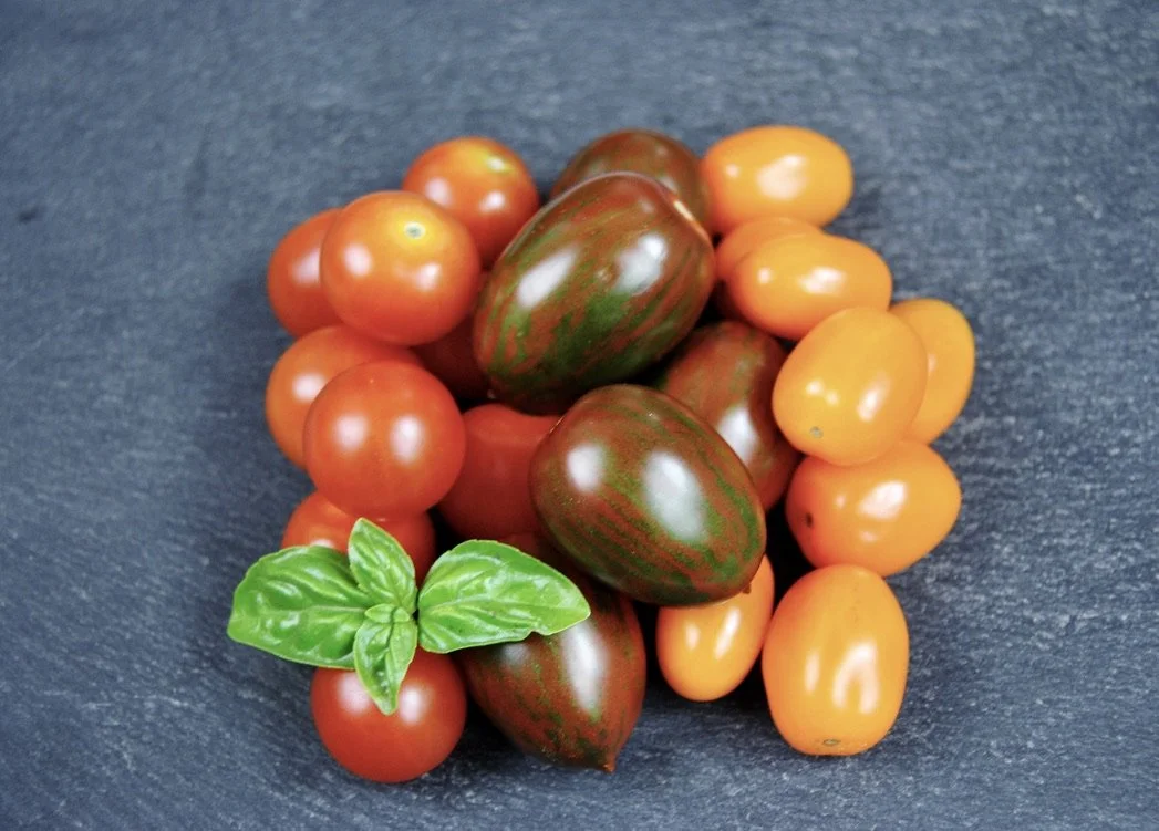 Small Tomatoes - Different Varieties