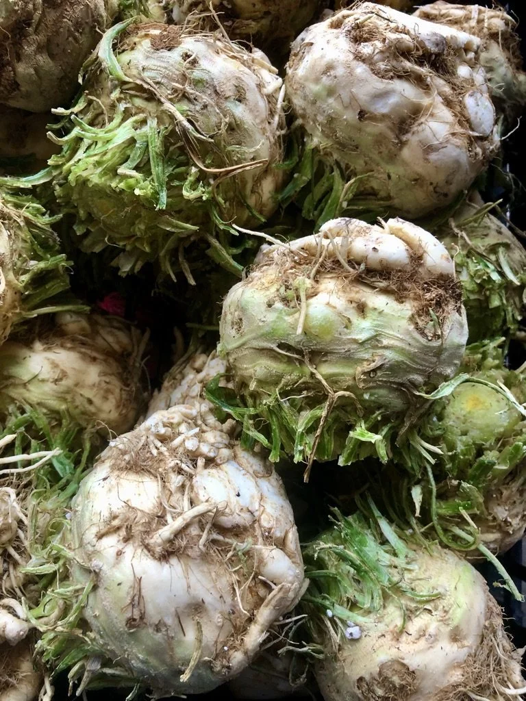 Celeriac - Celery Root