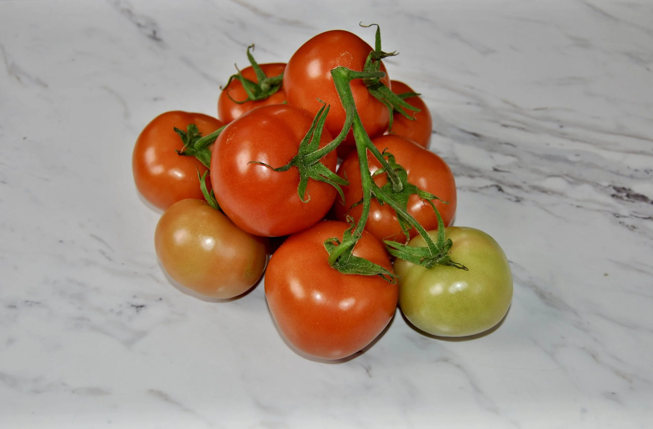 Tomatoes on the Vine