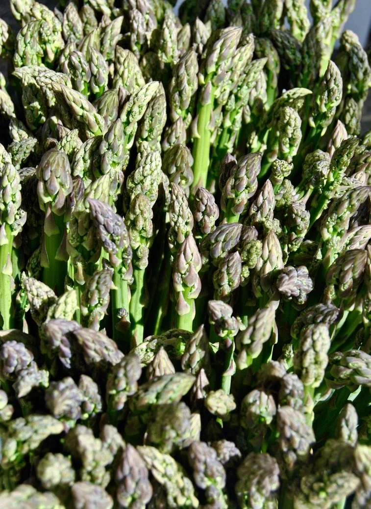 Asparagus - Millennium