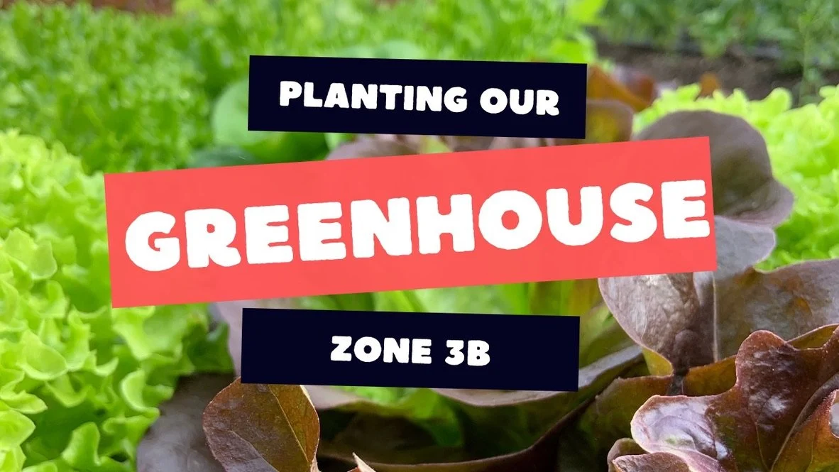 IMPORTANT DELIVERY DAYS &amp; NEW YOUTUBE VIDEO 