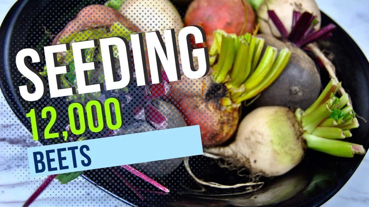 Nothing BEETS a Good Seeding Day - YouTube Video 