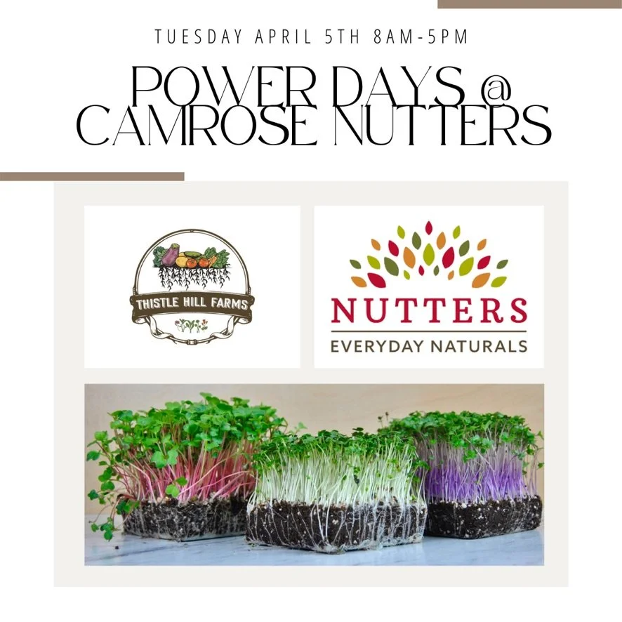 On Location @ Nutters Everyday Naturals - Power Days