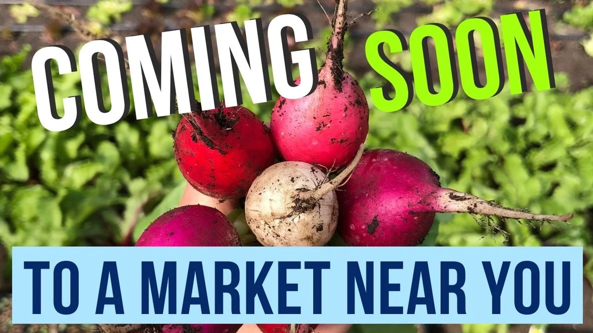 Follow along with our first harvest of the year!! - YouTube Video