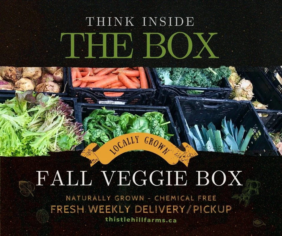 Think Inside The Box - We Need Your Help!