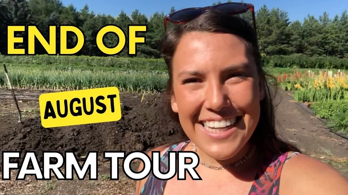 Sunday Post - New Youtube Video 