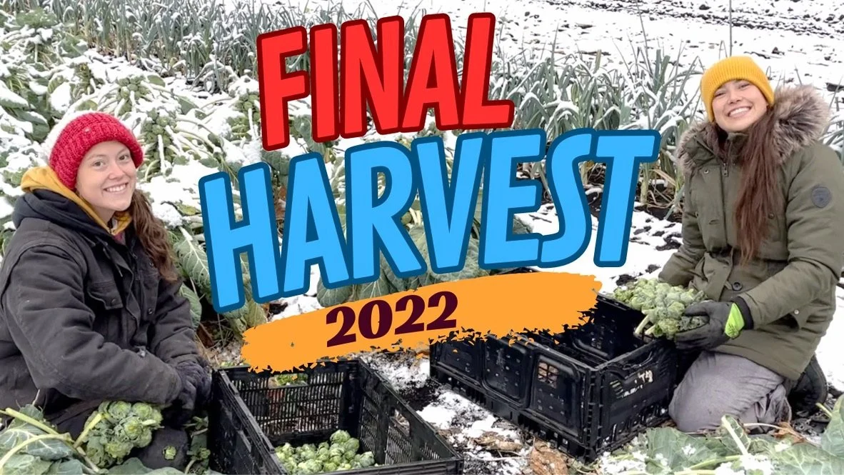 Final Harvest 2022 - YouTube Video 