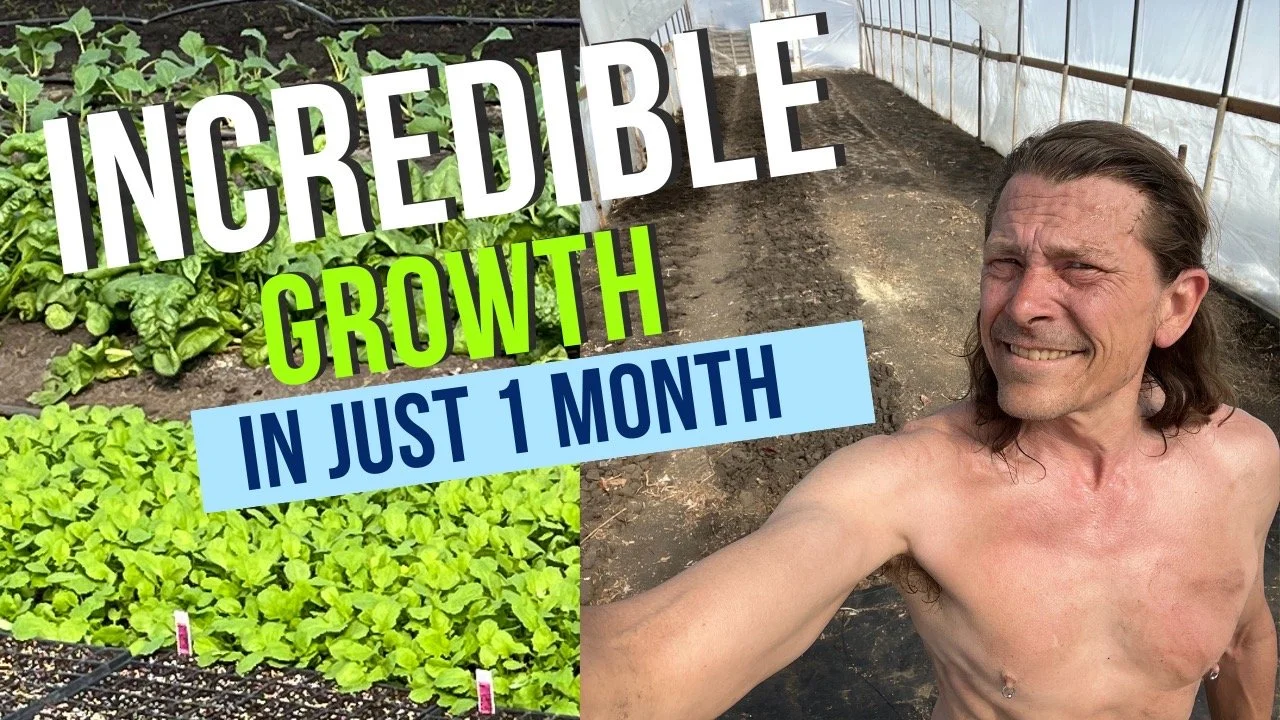 Incredible Growth In Just 1 Month!! - YouTube Video
