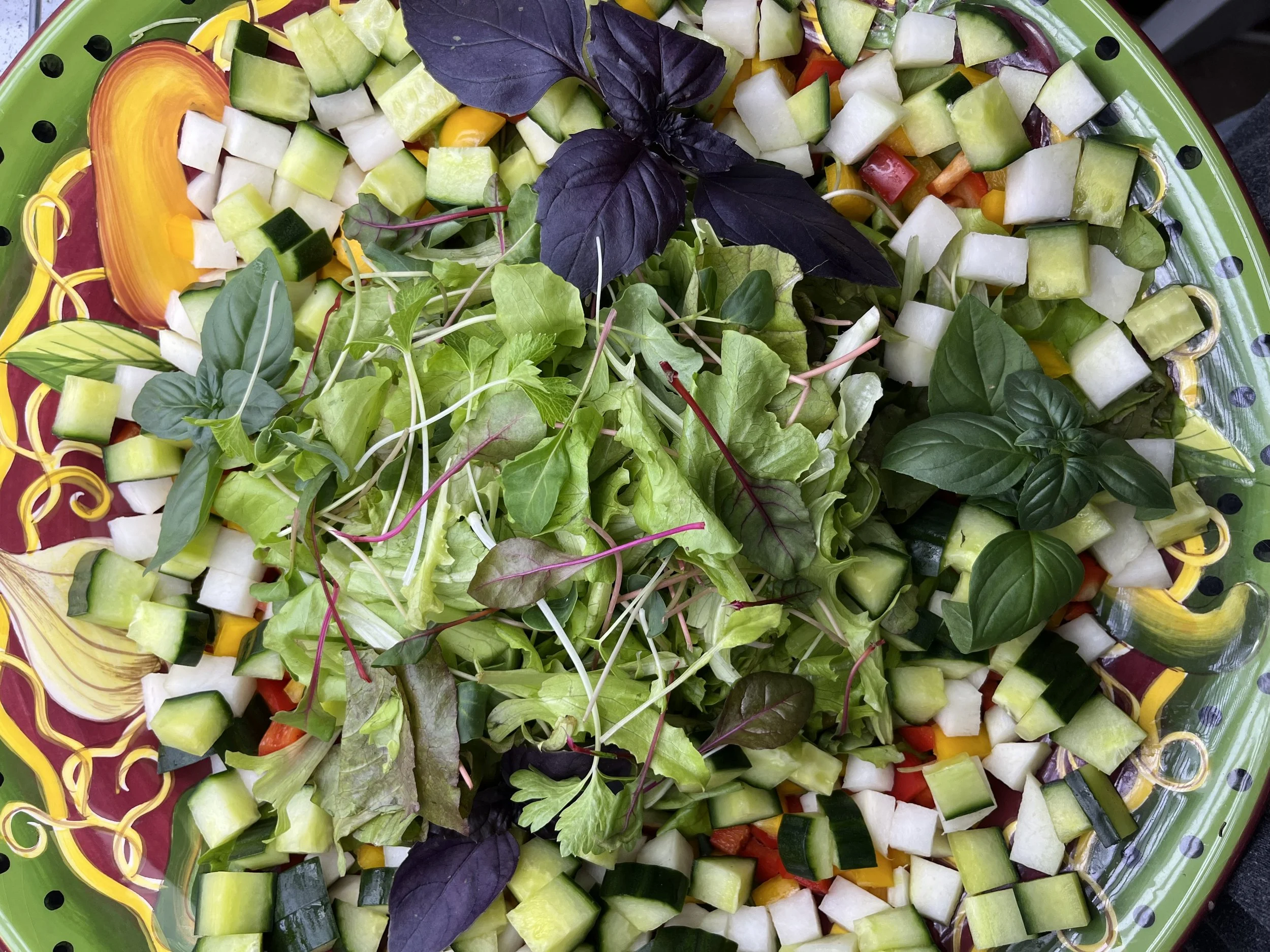 Produce of the Week; Opal Purple Basil 