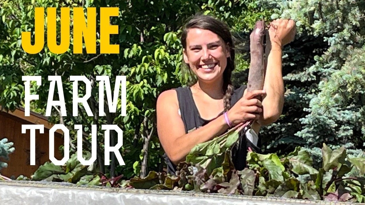 New YouTube Video - June Farm Tour