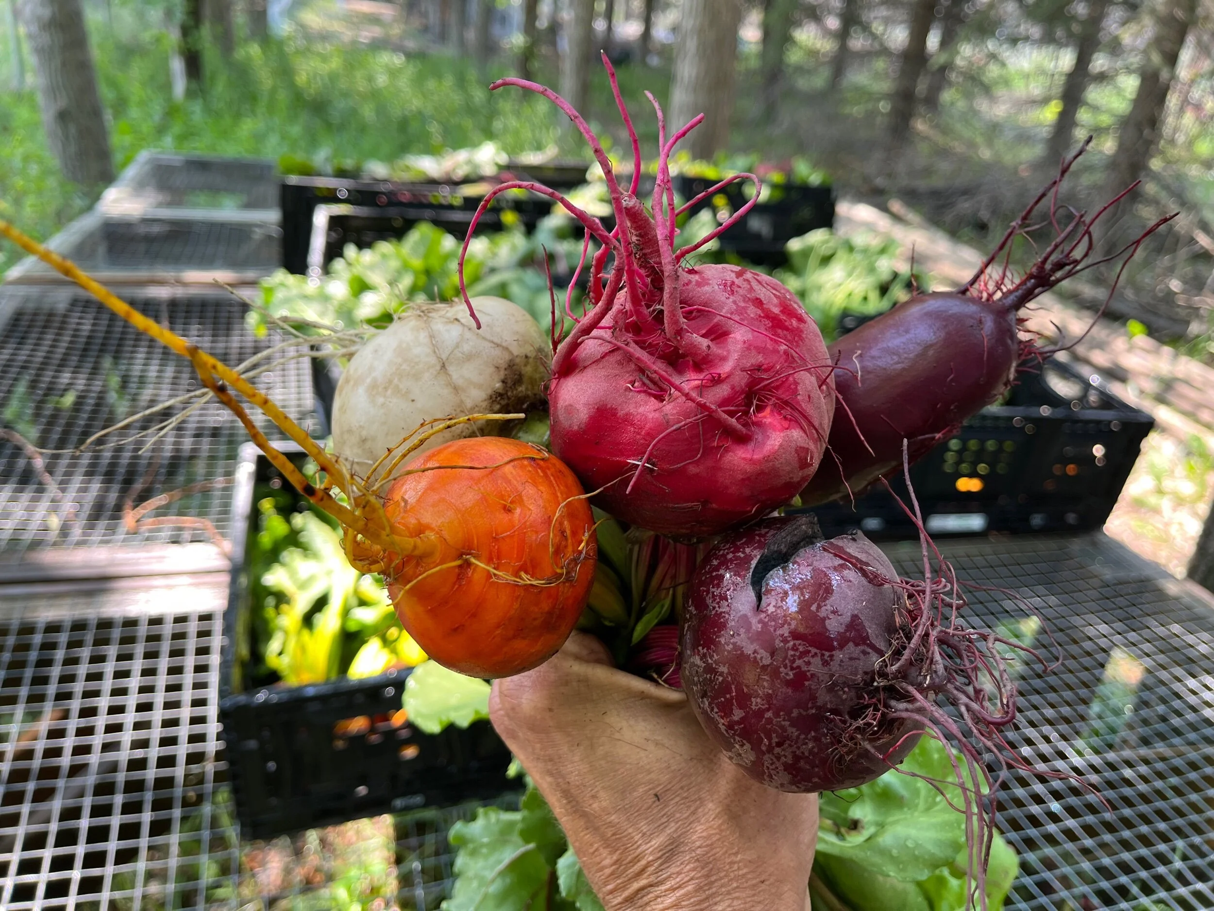 E2D84A95-4C05-4F1D-BB98-BF09E4EDEFA4