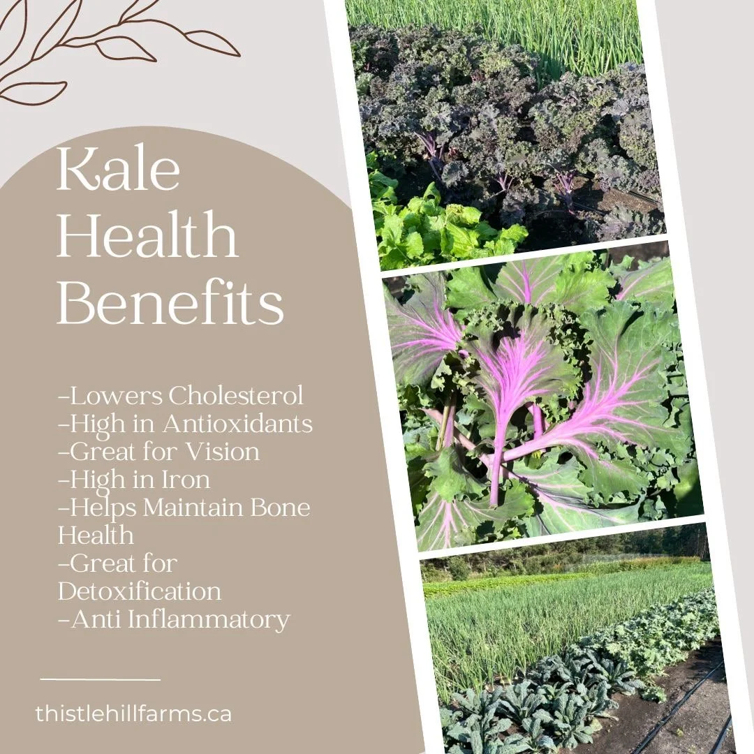 Produce of the Week; Kale Blend