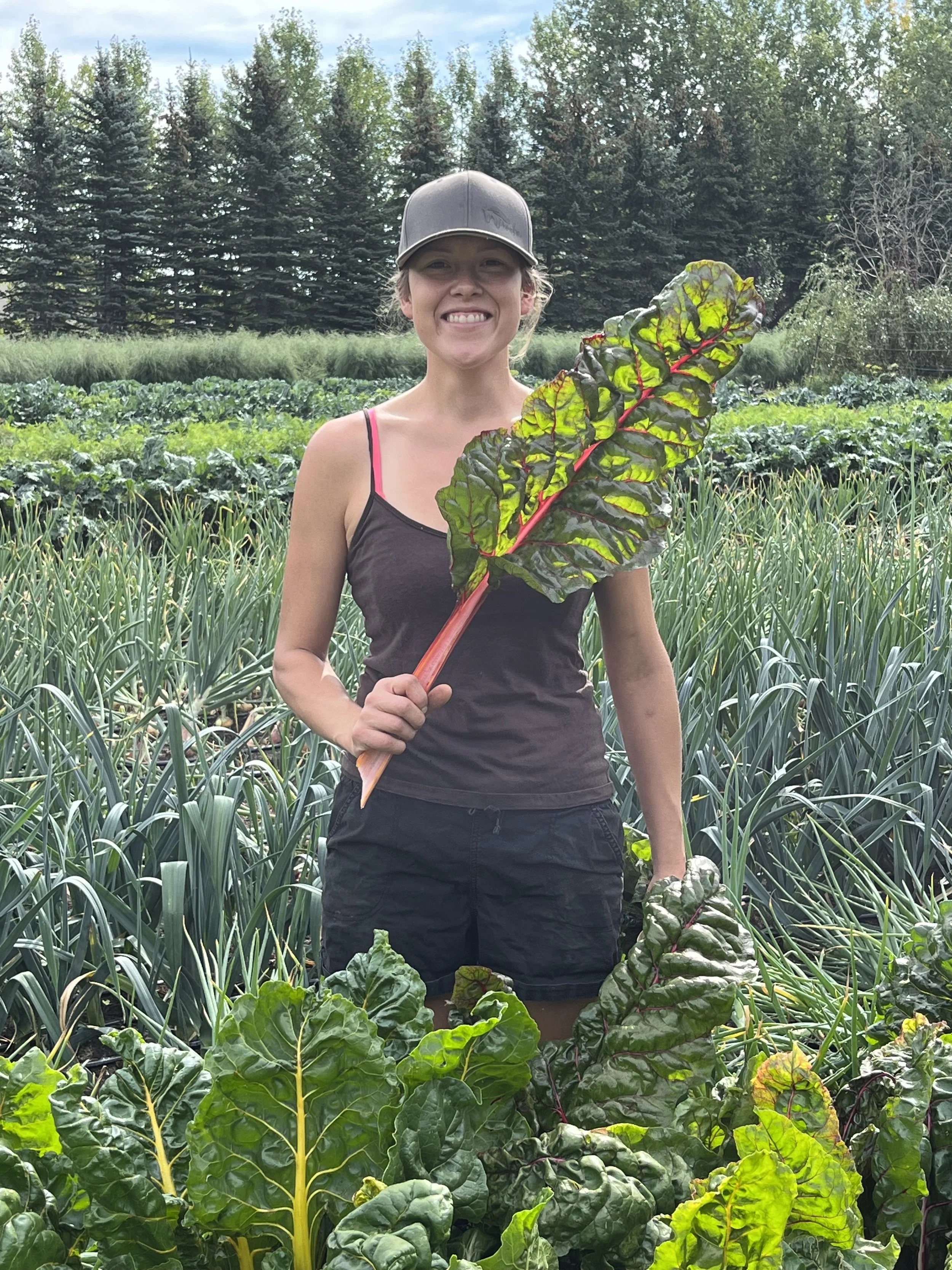 The Benefits of Buying Directly from Farmers