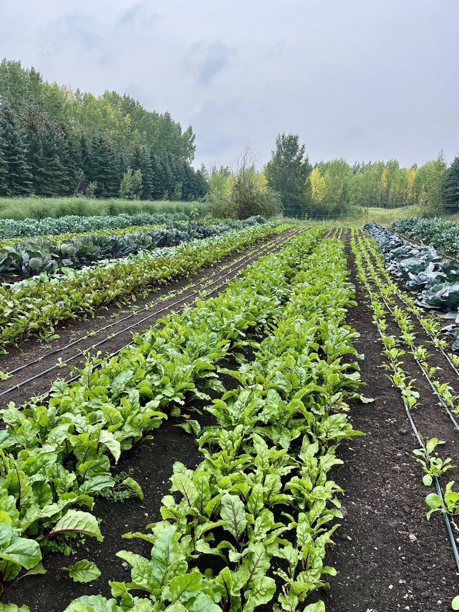 September Farm Tour - Reel 