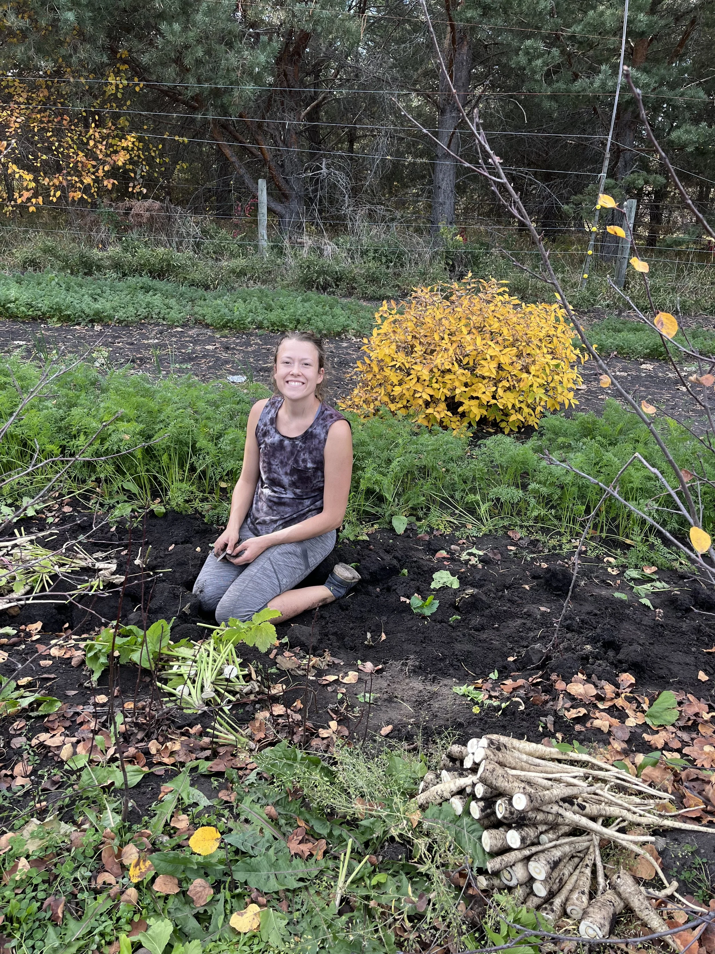 Final Outdoor Harvest