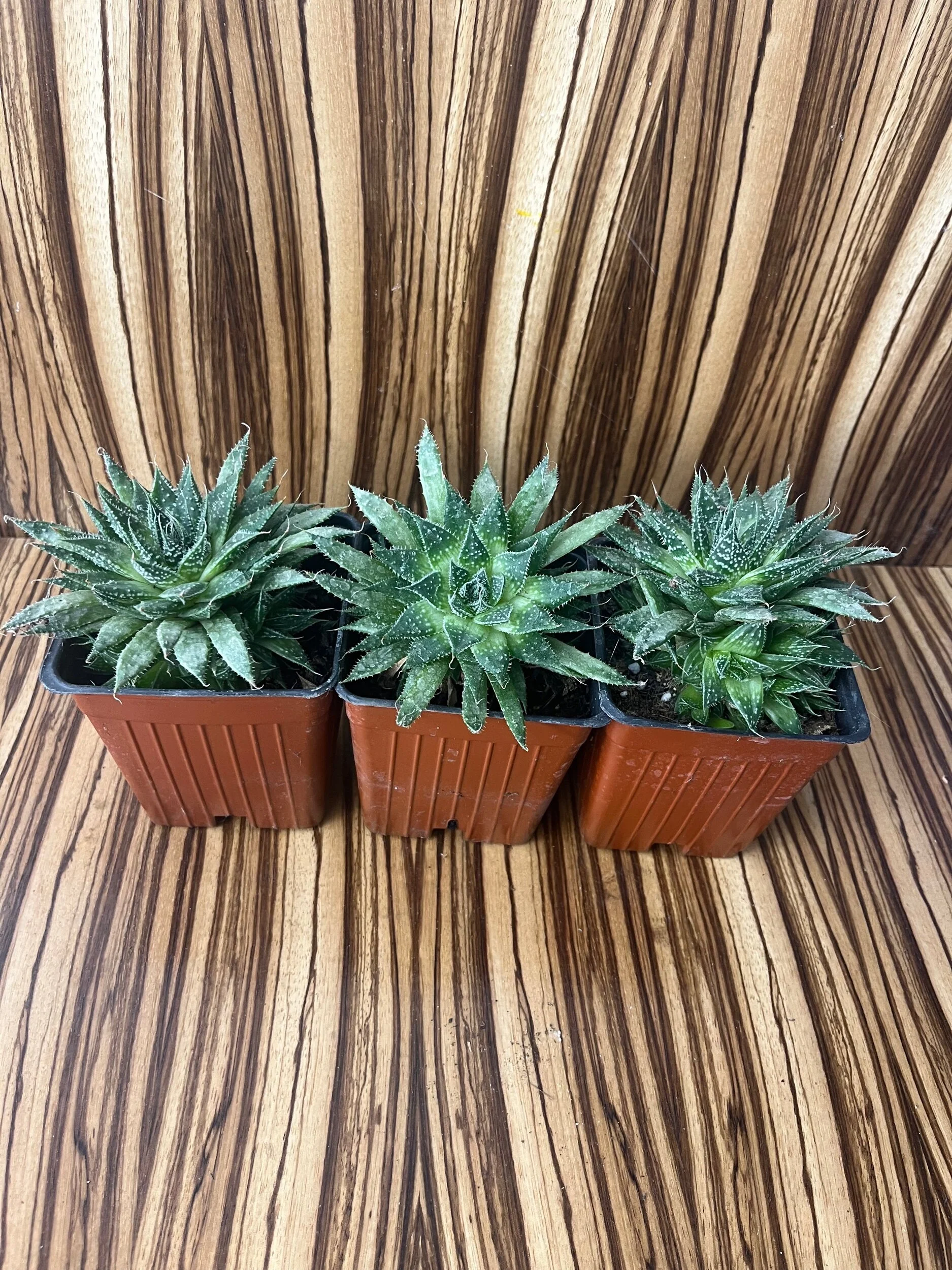 D09EBFC6-2469-4298-B261-6144AD2A02AD