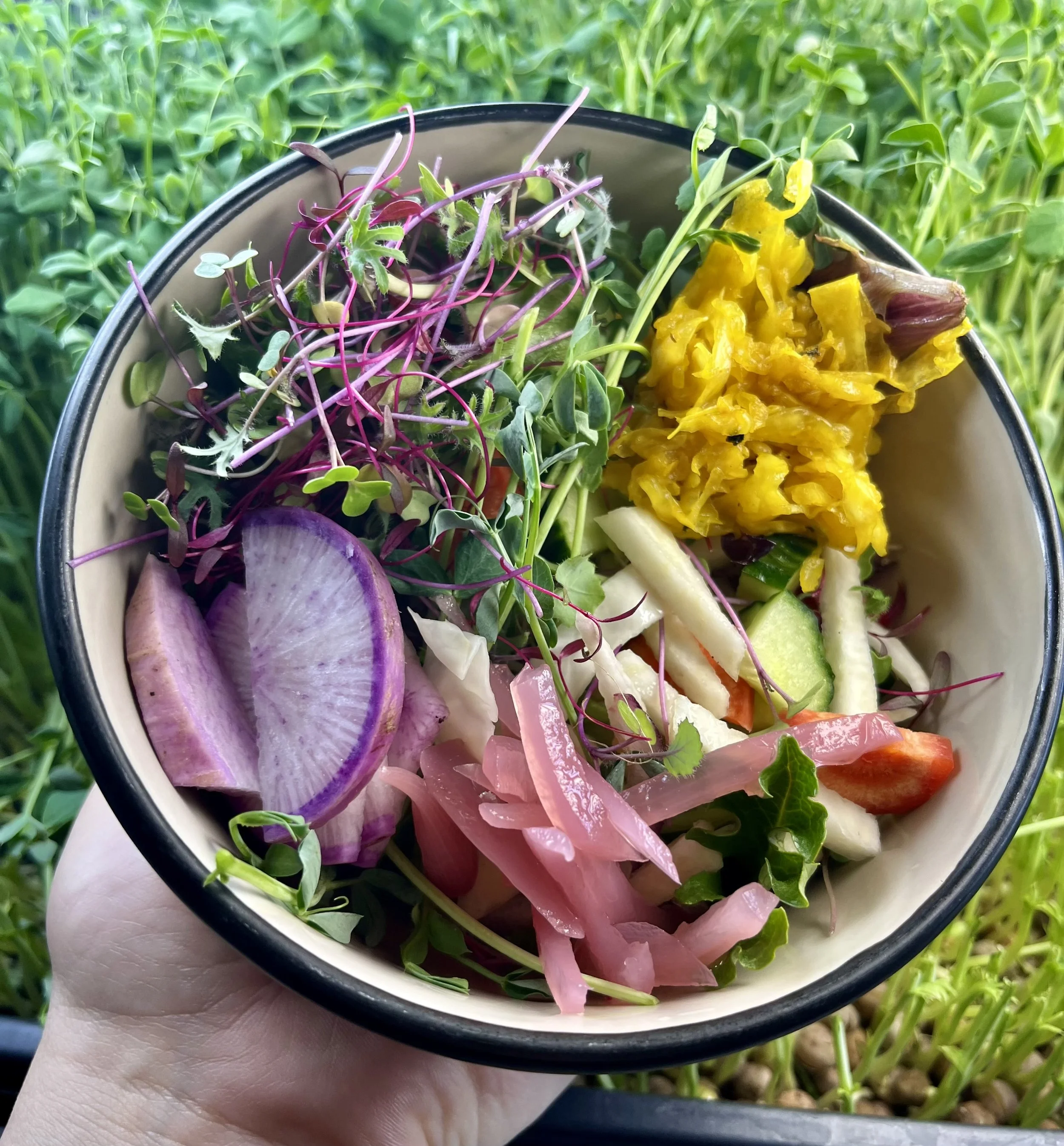 Let's Talk Salads 💚