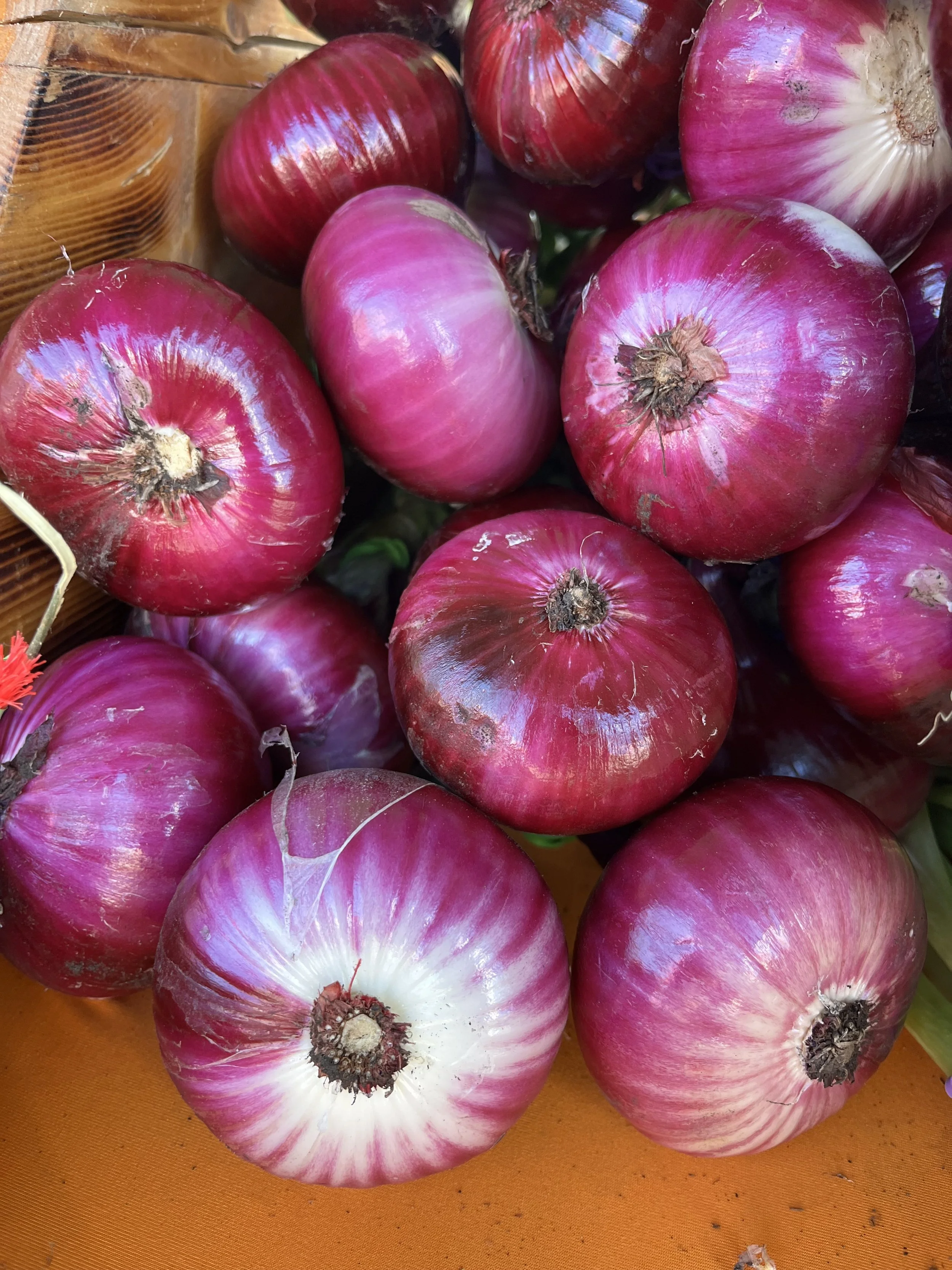 Red Marble Onions